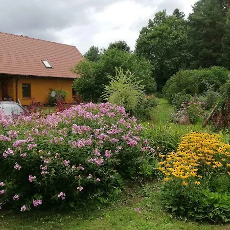 Agrojelonki Agroturystyka Gietrzwald Exterior photo