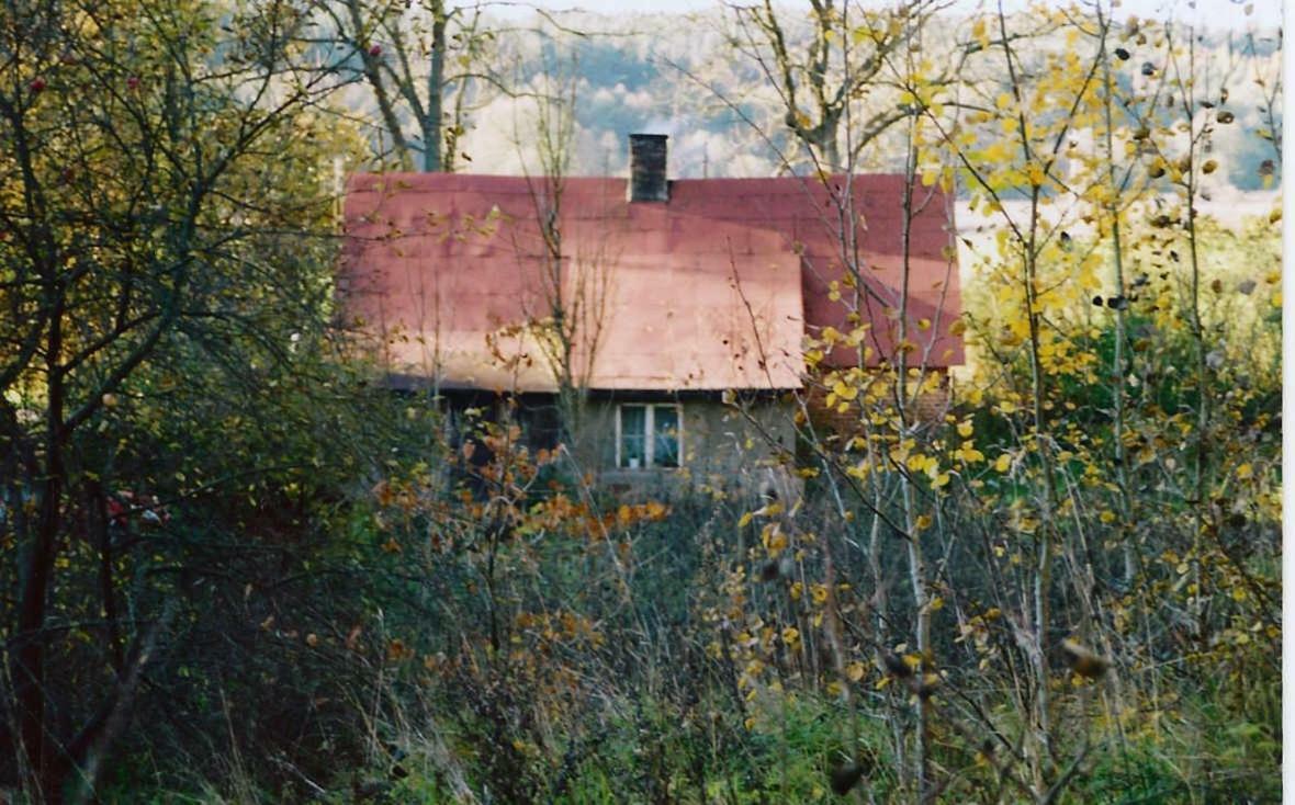Agrojelonki