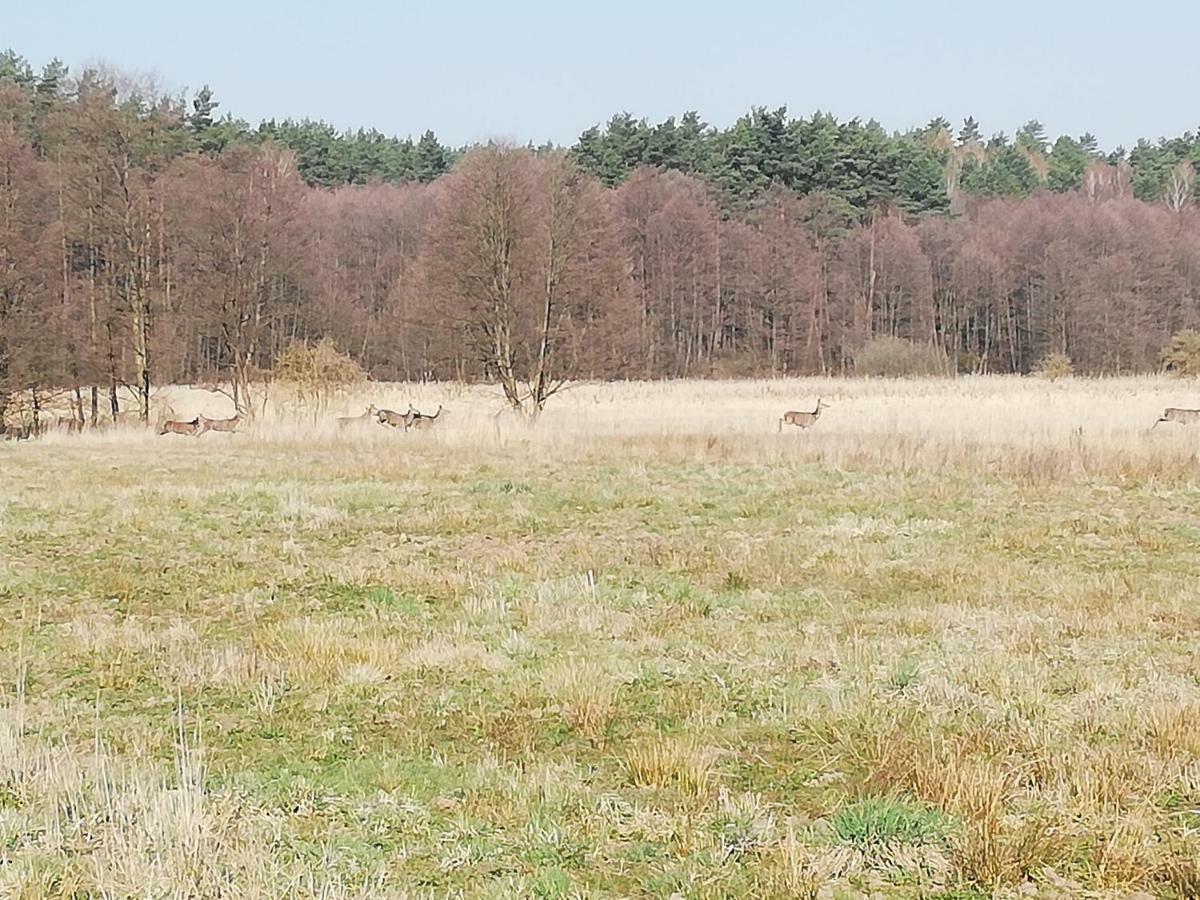 Privatunterkunft Agrojelonki *