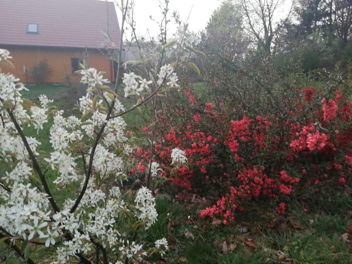 Agrojelonki Gietrzwałd